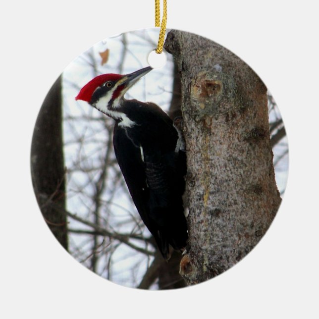Pileated Woodpecker Ceramic Ornament (Front)