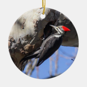 Pileated Woodpecker Ceramic Ornament