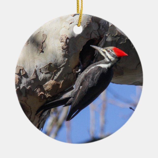Pileated Woodpecker Ceramic Ornament (Front)
