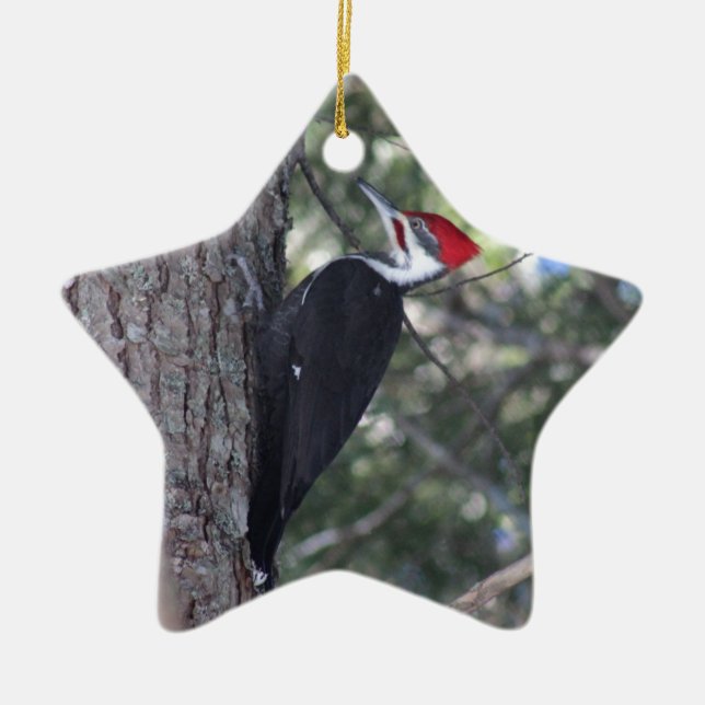 Pileated Woodpecker Ceramic Ornament (Front)