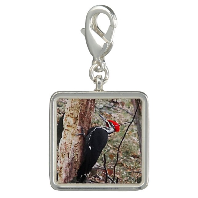 Pileated  Woodpecker Charm (Front)