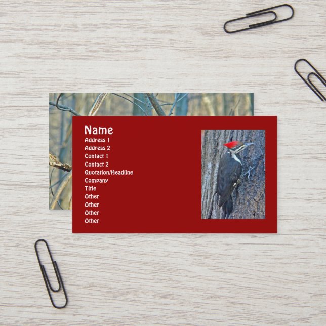 Pileated Woodpecker Coordinated Items Business Card (Front/Back In Situ)