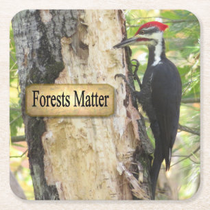 Pileated Woodpecker Ecology Coaster Set