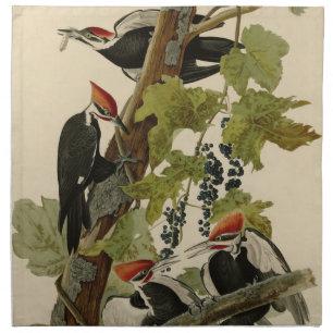 Pileated Woodpecker from Audubon Birds of America Cloth Napkin