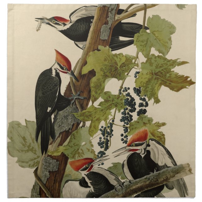 Pileated Woodpecker from Audubon Birds of America Cloth Napkin (Front)