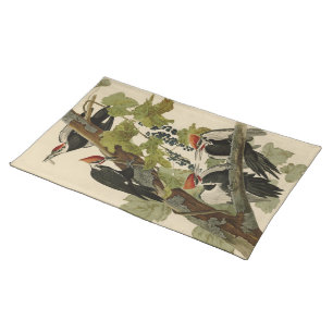 Pileated Woodpecker from Audubon Birds of America Cloth Placemat