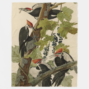 Pileated Woodpecker from Audubon Birds of America Fleece Blanket