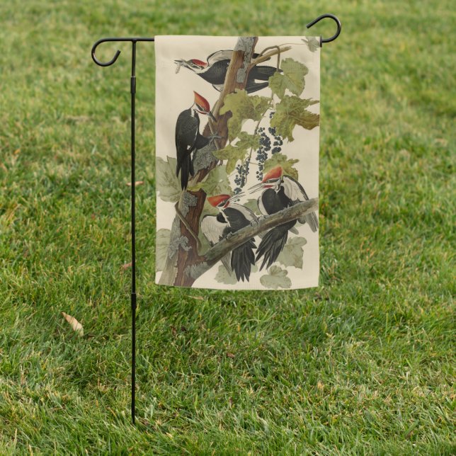 Pileated Woodpecker from Audubon Birds of America Garden Flag (In SItu)