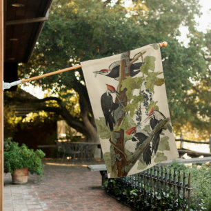 Pileated Woodpecker from Audubon Birds of America House Flag