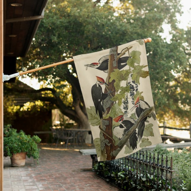 Pileated Woodpecker from Audubon Birds of America House Flag (In SItu)