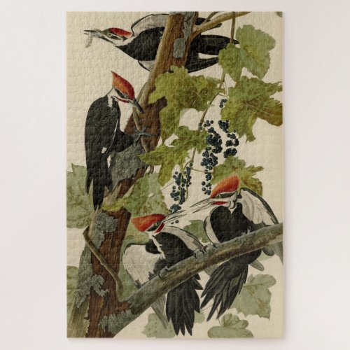 Pileated Woodpecker from Audubon Birds of America Jigsaw Puzzle