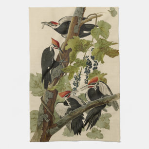 Pileated Woodpecker from Audubon Birds of America Kitchen Towel