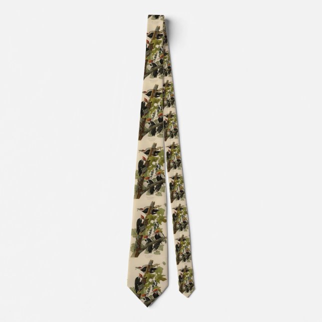 Pileated Woodpecker from Audubon Birds of America Neck Tie (Front)