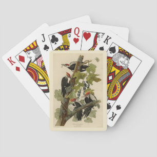 Pileated Woodpecker from Audubon Birds of America Poker Cards