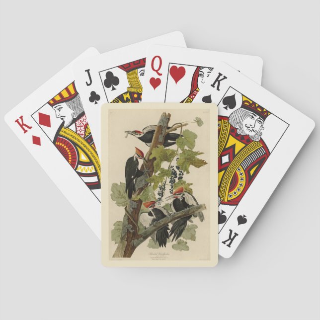 Pileated Woodpecker from Audubon Birds of America Poker Cards (Back)