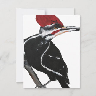 Pileated Woodpecker Holiday Card