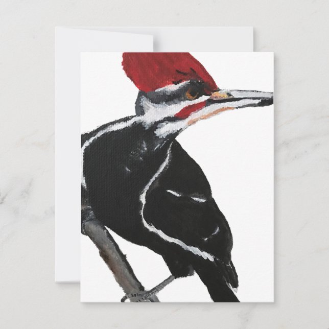 Pileated Woodpecker Holiday Card (Front)