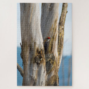 Pileated Woodpecker Jigsaw Puzzle