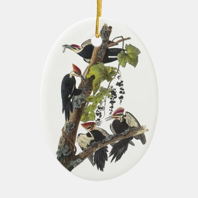 Pileated Woodpecker, John Audubon Ceramic Ornament (Front)