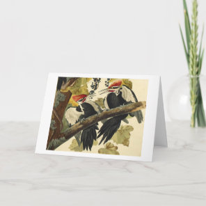 Pileated Woodpecker, John James Audubon Card