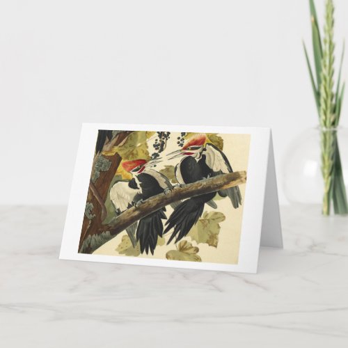 Pileated Woodpecker John James Audubon Card