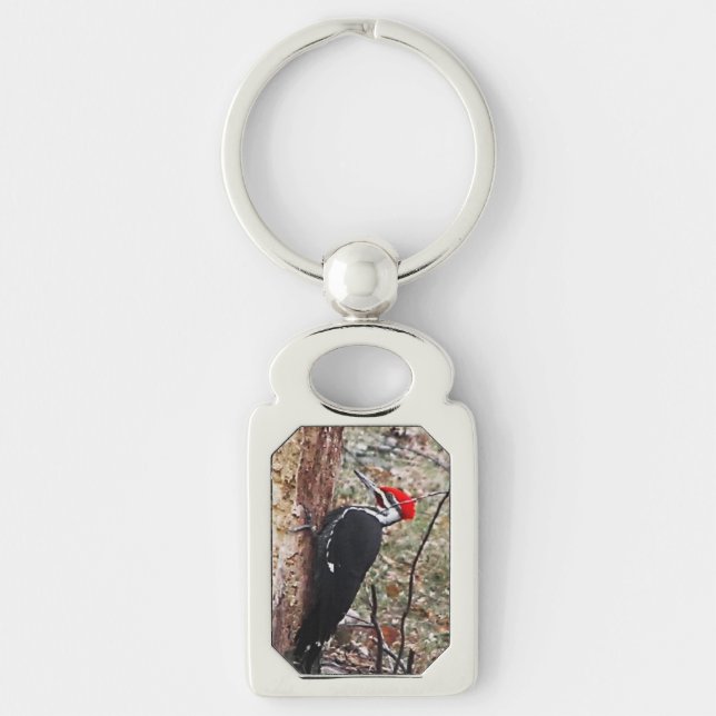 Pileated Woodpecker Keychain (Front)