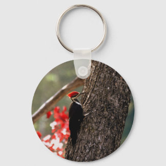 Pileated Woodpecker Keychain