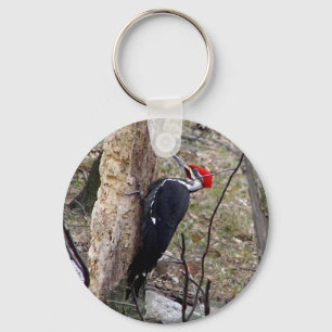 Pileated Woodpecker Keychain