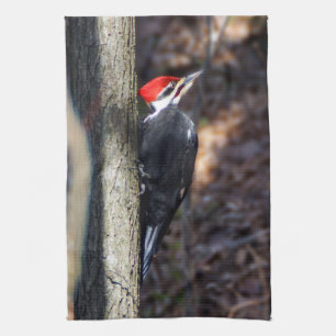 Pileated Woodpecker Kitchen Towel