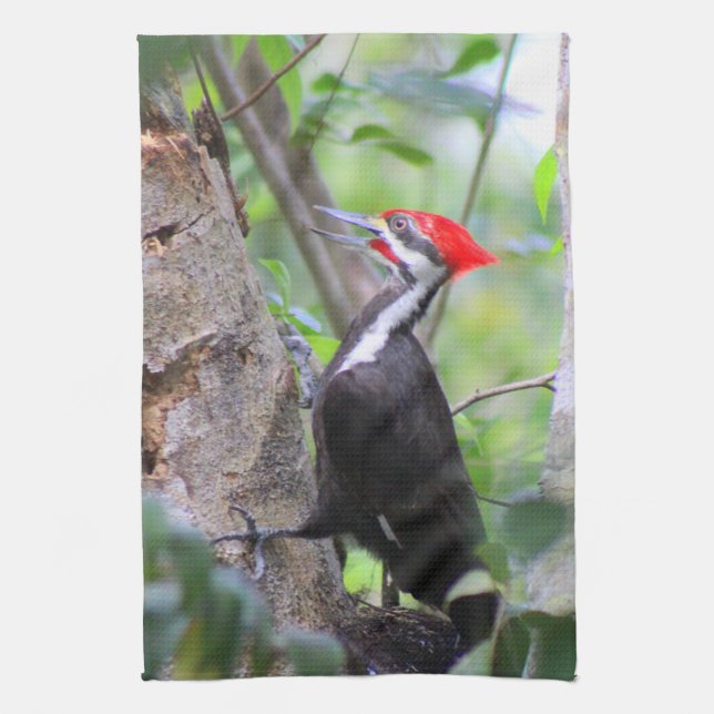 Pileated Woodpecker Kitchen Towel Dish Towel (Vertical)