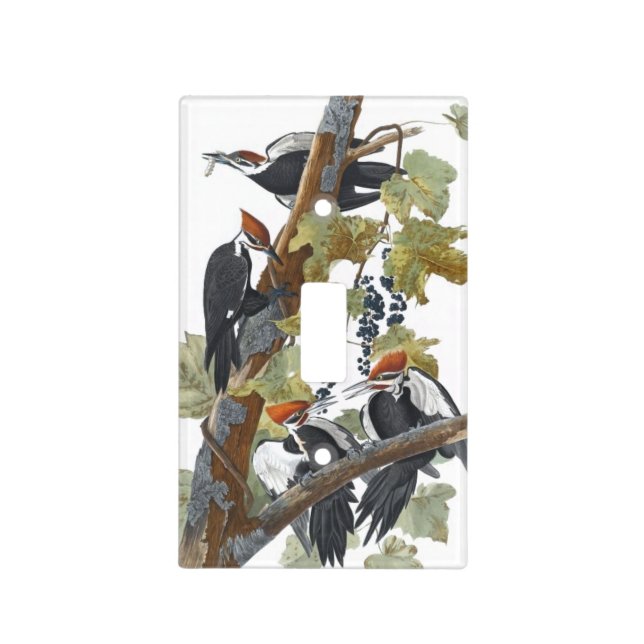 Pileated Woodpecker Light Switch Cover (Front)