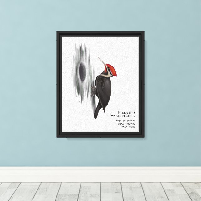 Pileated Woodpecker, Male Bird Canvas Print (Insitu(Wood Floor))