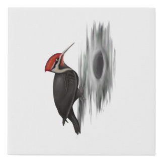 Pileated Woodpecker, Male Bird Faux Canvas Print