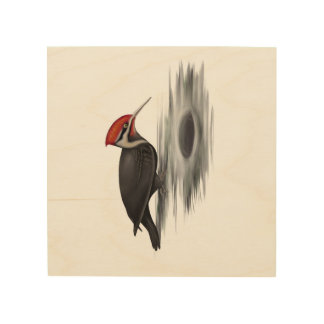 Pileated Woodpecker, Male Bird Wood Wall Art