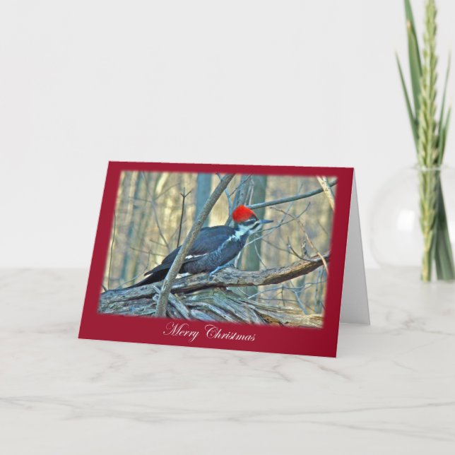 Pileated Woodpecker Merry Christmas Items Holiday Card (Front)