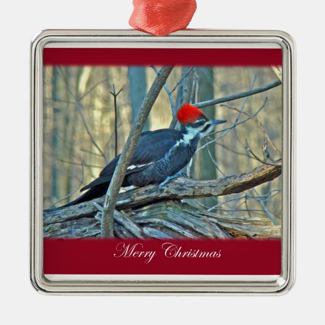 Pileated Woodpecker Merry Christmas Ornament (Front)