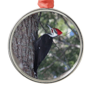 Pileated Woodpecker Metal Ornament