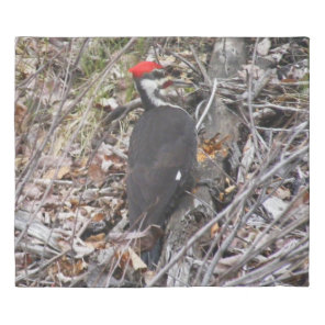Pileated Woodpecker Pecking Duvet Cover