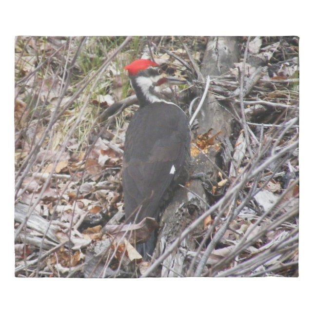 Pileated Woodpecker Pecking Duvet Cover (Front)