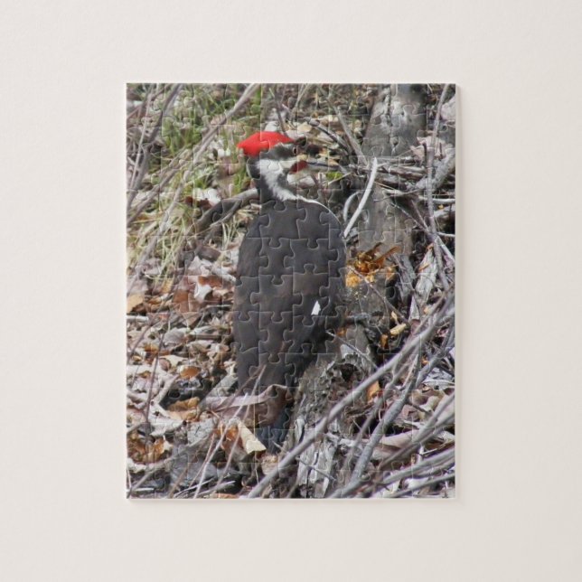 Pileated Woodpecker Pecking Puzzle (Vertical)