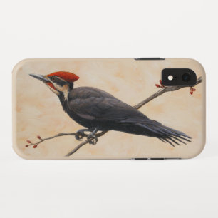Pileated Woodpecker Perched on Tree Branch iPhone XR Case