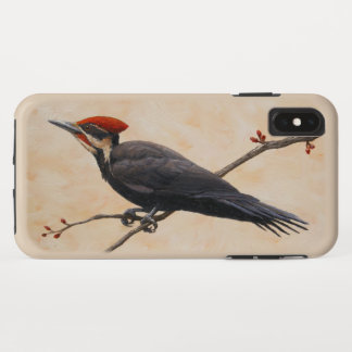 Pileated Woodpecker Perched on Tree Branch iPhone XS Max Case