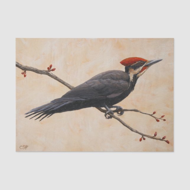 Pileated Woodpecker Perched on Tree Branch Tissue Paper (Front)