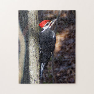 Pileated Woodpecker Puzzle