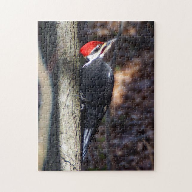 Pileated Woodpecker Puzzle (Vertical)