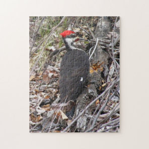 Pileated Woodpecker Puzzle