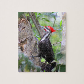 Pileated Woodpecker Puzzle