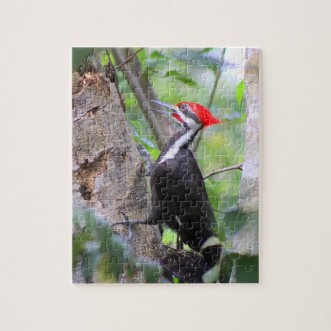 Pileated Woodpecker Puzzle (Vertical)