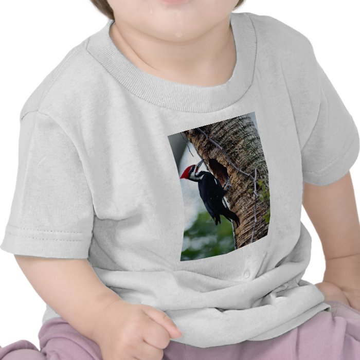 Pileated woodpecker t shirt