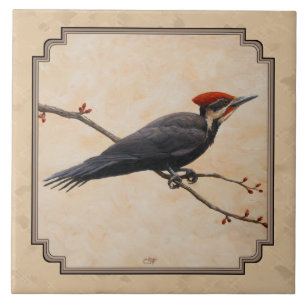 Pileated Woodpecker Tan Ceramic Tile
